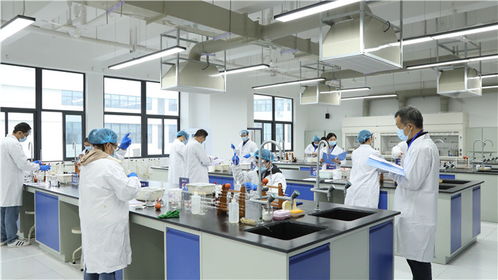 強(qiáng)化技能比拼主陣地 筑牢質(zhì)量安全防線——瀘江首屆檢驗(yàn)檢測(cè)機(jī)構(gòu)檢驗(yàn)?zāi)芰Ρ葘?duì)比武在四川化工職業(yè)技術(shù)學(xué)院舉辦